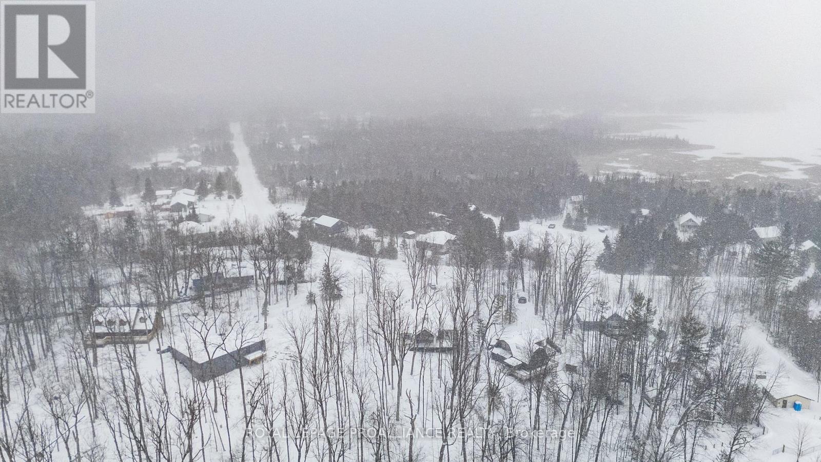 160 Sumcot Drive, Trent Lakes, Ontario  K0L 1J0 - Photo 46 - X12726574