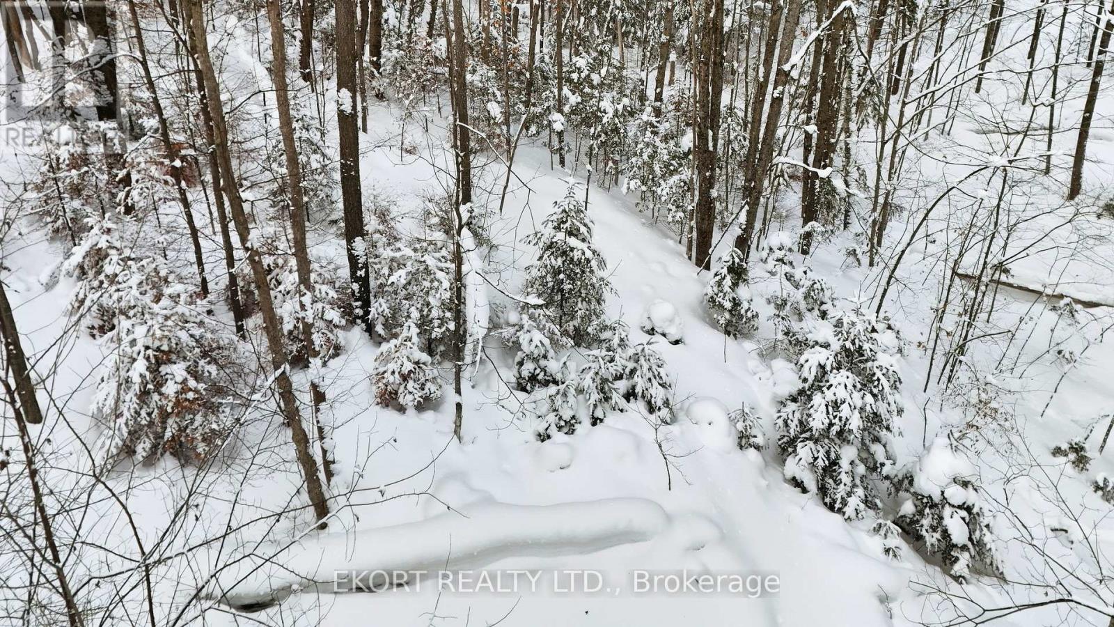 41 Maple Street, Bancroft (Bancroft Ward), Ontario  K0L 1C0 - Photo 50 - X12728006