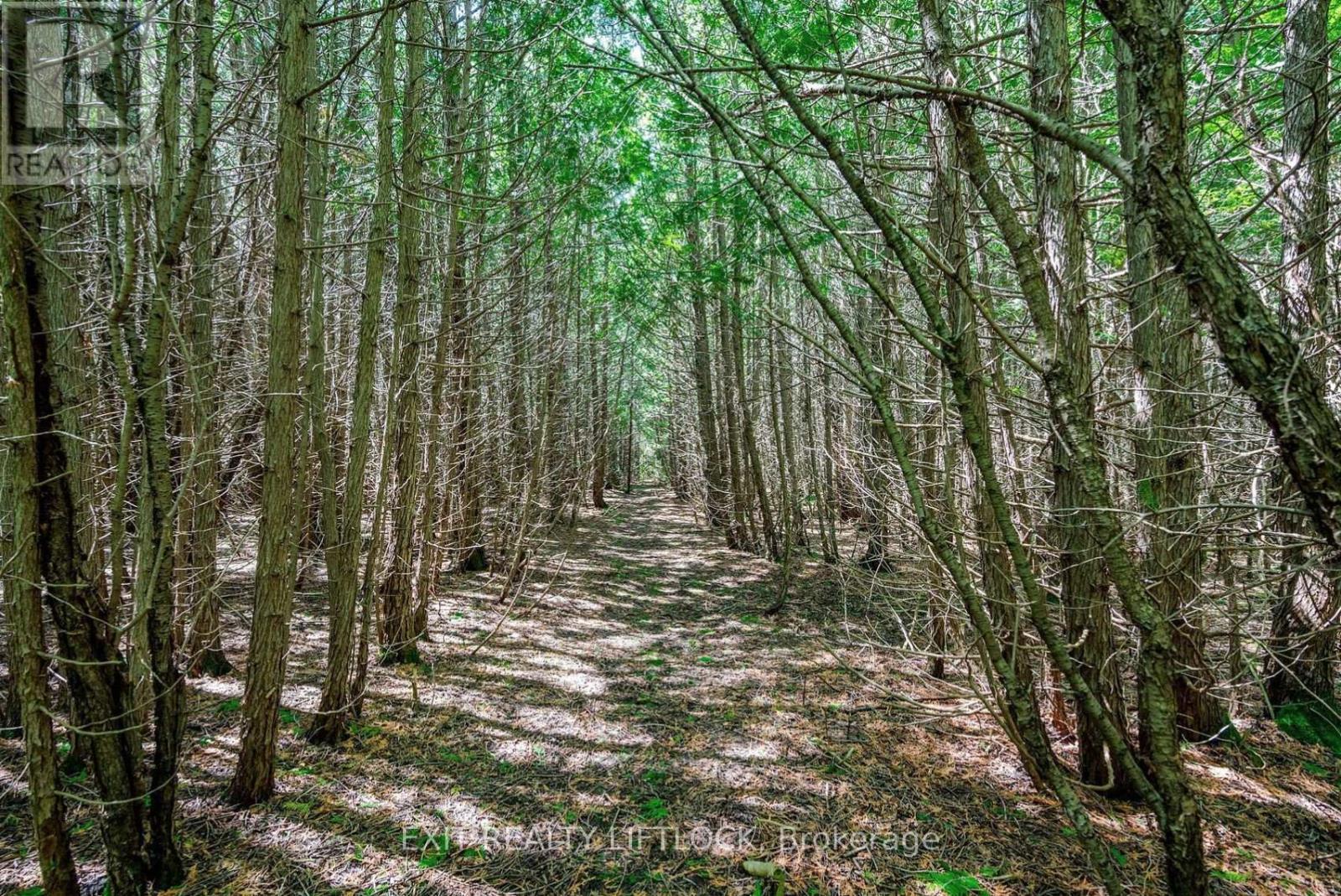 4922 Highway 7, Kawartha Lakes (Omemee), Ontario  K0L 2W0 - Photo 40 - X12729384