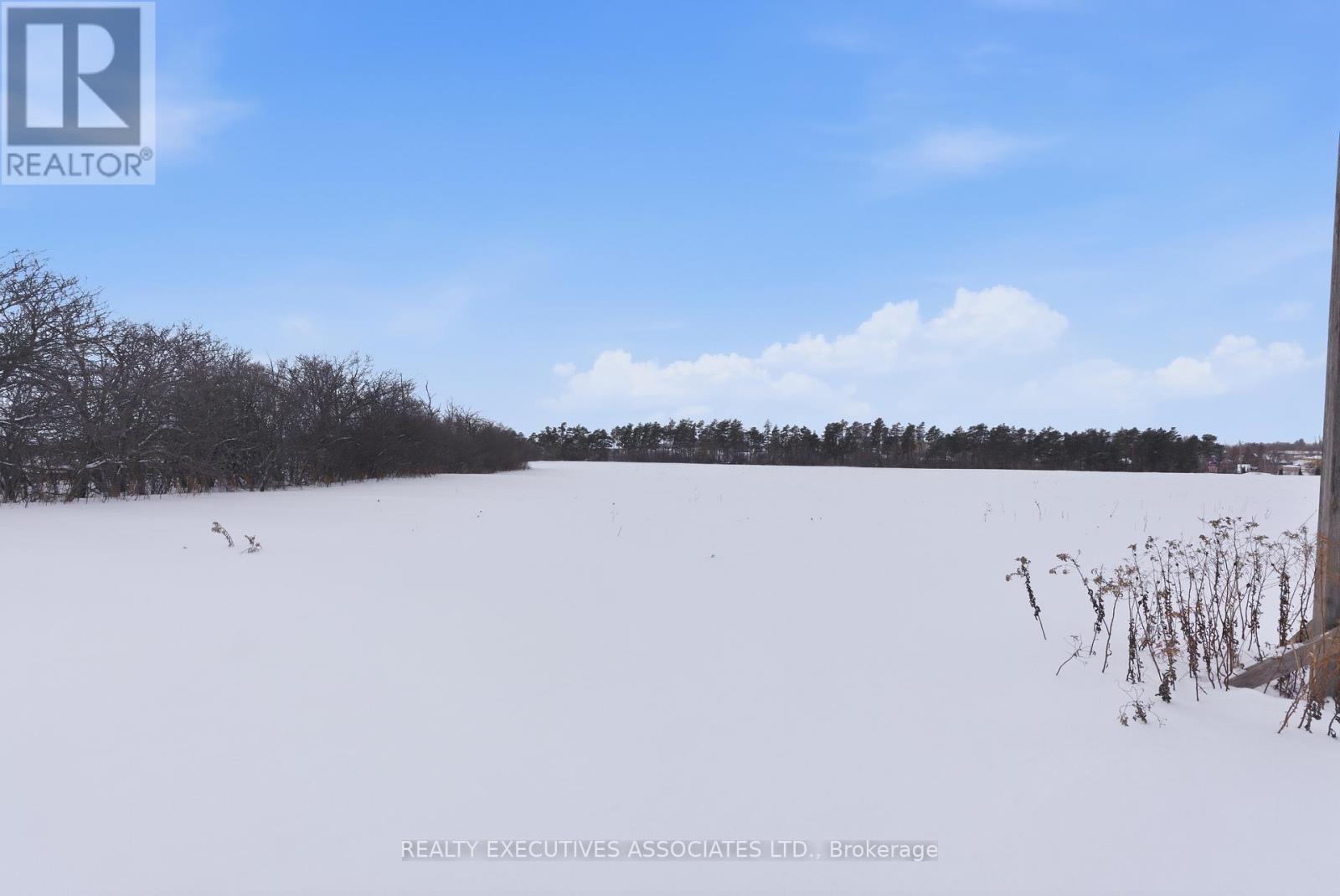 71 Truax Street, Kawartha Lakes (Lindsay), Ontario  K9V 0E3 - Photo 39 - X12731546