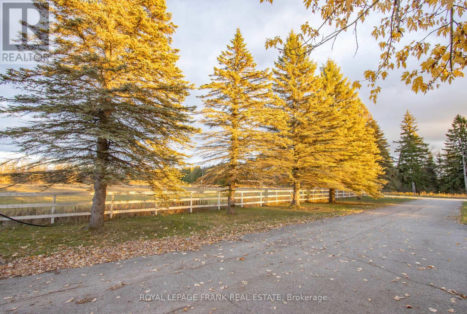 350 Cambray Road, Kawartha Lakes (Fenelon), Ontario  K9V 4R1 - Photo 10 - X12735238