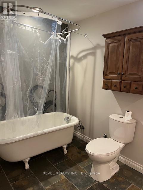 Lower Level - 62 Cook Street, Kawartha Lakes (Lindsay), Ontario  K9V 0C6 - Photo 4 - X12738460