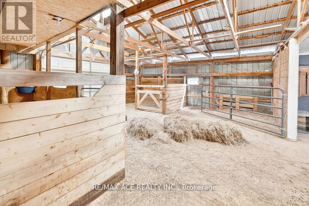 2425 North School Road, Havelock-Belmont-Methuen (Havelock), Ontario  K0L 1Z0 - Photo 24 - X12742164