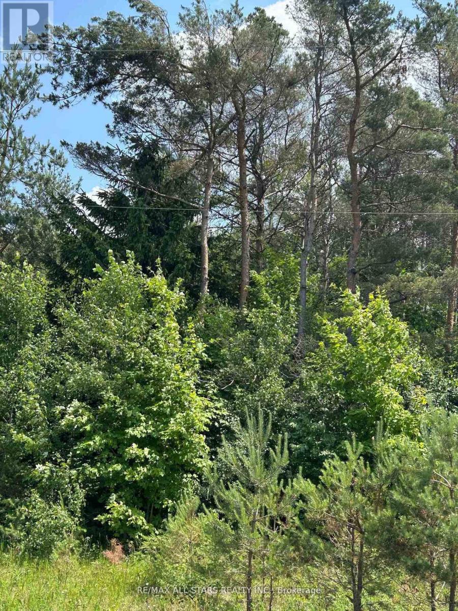 2 Thomas Street, Kawartha Lakes (Pontypool), Ontario  L0A 1K0 - Photo 9 - X12742328