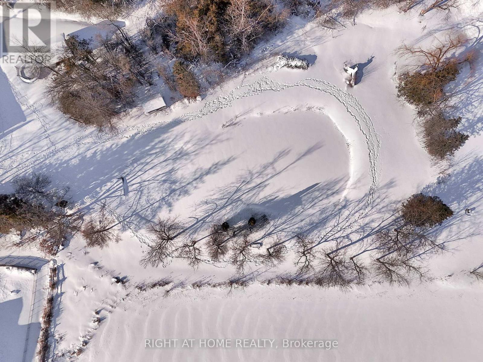 424 Bridle Road, Kawartha Lakes (Ops), Ontario  K9V 4R2 - Photo 3 - X12742944