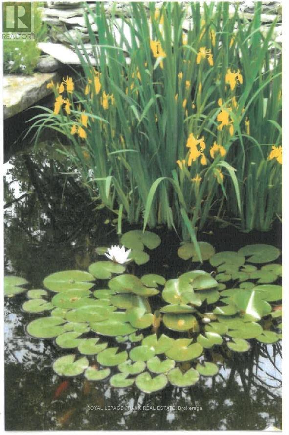 491 Chamberlain Street, Peterborough (Town Ward 3), Ontario  K9J 4L3 - Photo 35 - X12744940