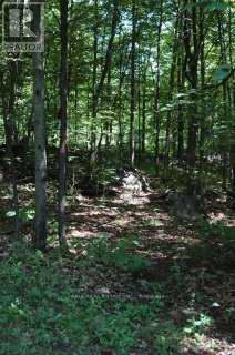 50 Fire Route 10b, North Kawartha, Ontario  K0L 3E0 - Photo 49 - X12747646