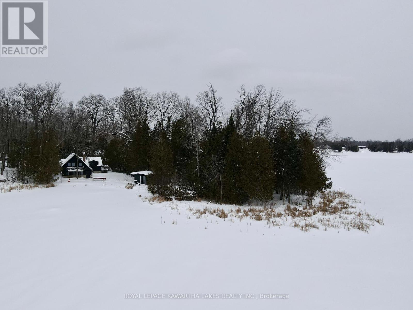 8 Fr 62 Street, Trent Lakes, Ontario  K0L 1J0 - Photo 49 - X12748596