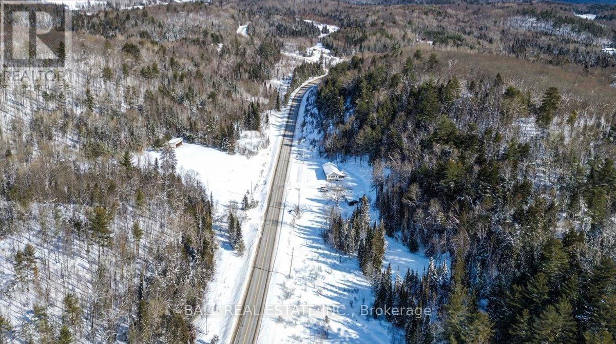 31298 Hwy 28 E, Bancroft (Dungannon Ward), Ontario  K0L 1C0 - Photo 41 - X12748834