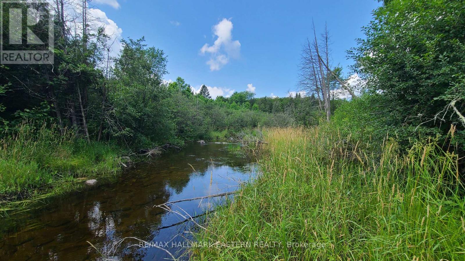 N/a Keating Road N, Havelock-Belmont-Methuen (Belmont-Methuen), Ontario  K0L 1Z0 - Photo 12 - X12750004