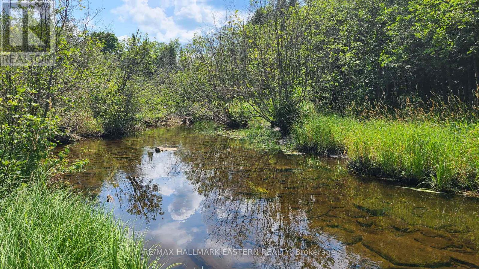 N/a Keating Road N, Havelock-Belmont-Methuen (Belmont-Methuen), Ontario  K0L 1Z0 - Photo 14 - X12750004