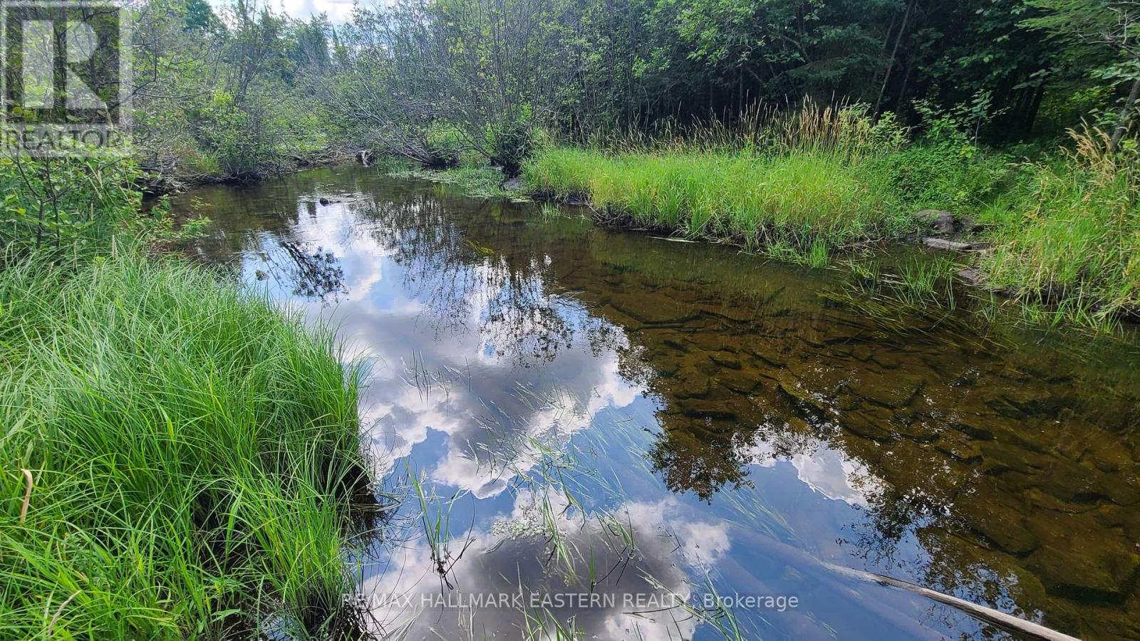 N/a Keating Road N, Havelock-Belmont-Methuen (Belmont-Methuen), Ontario  K0L 1Z0 - Photo 16 - X12750004