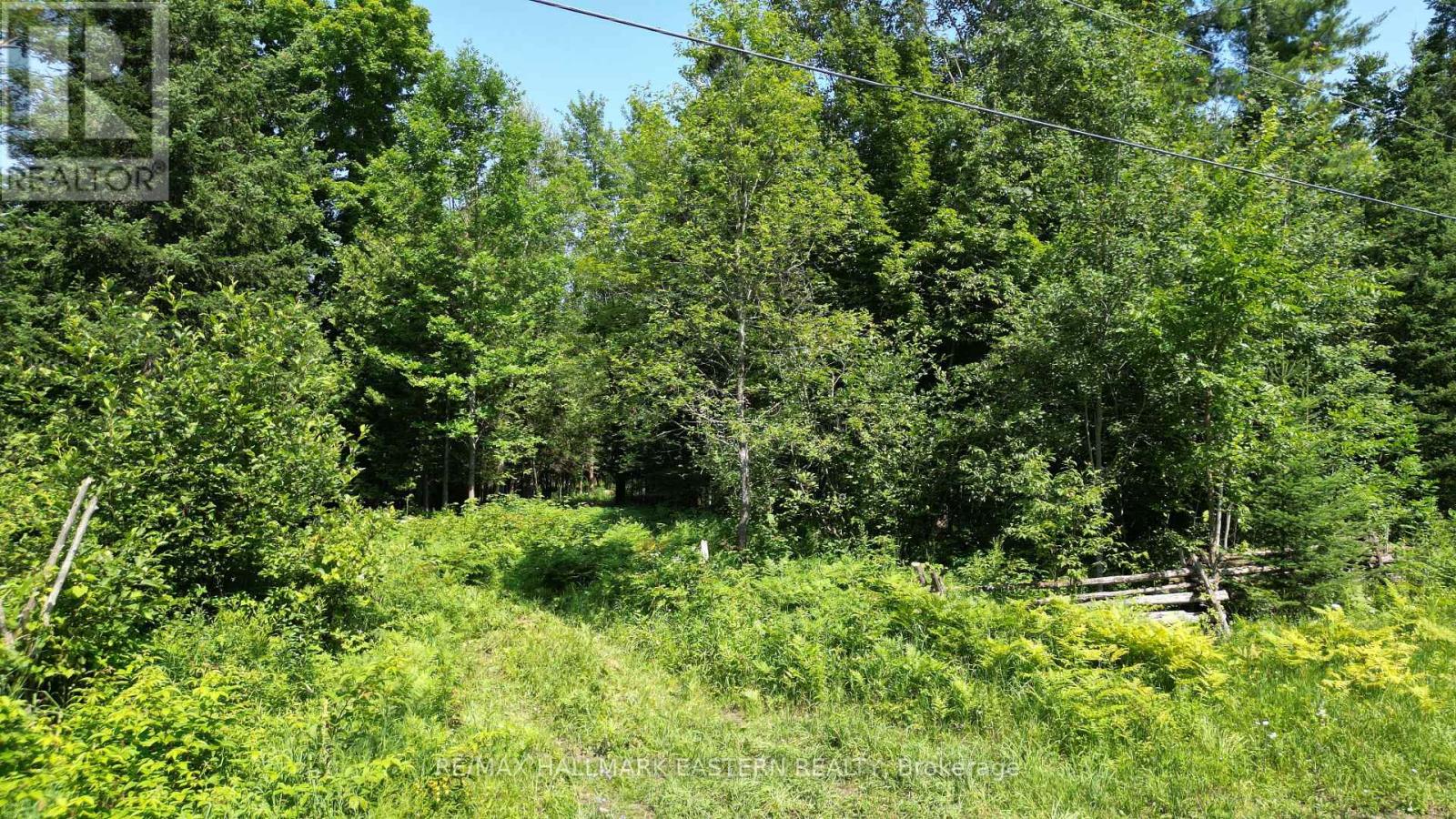 N/a Keating Road N, Havelock-Belmont-Methuen (Belmont-Methuen), Ontario  K0L 1Z0 - Photo 20 - X12750004