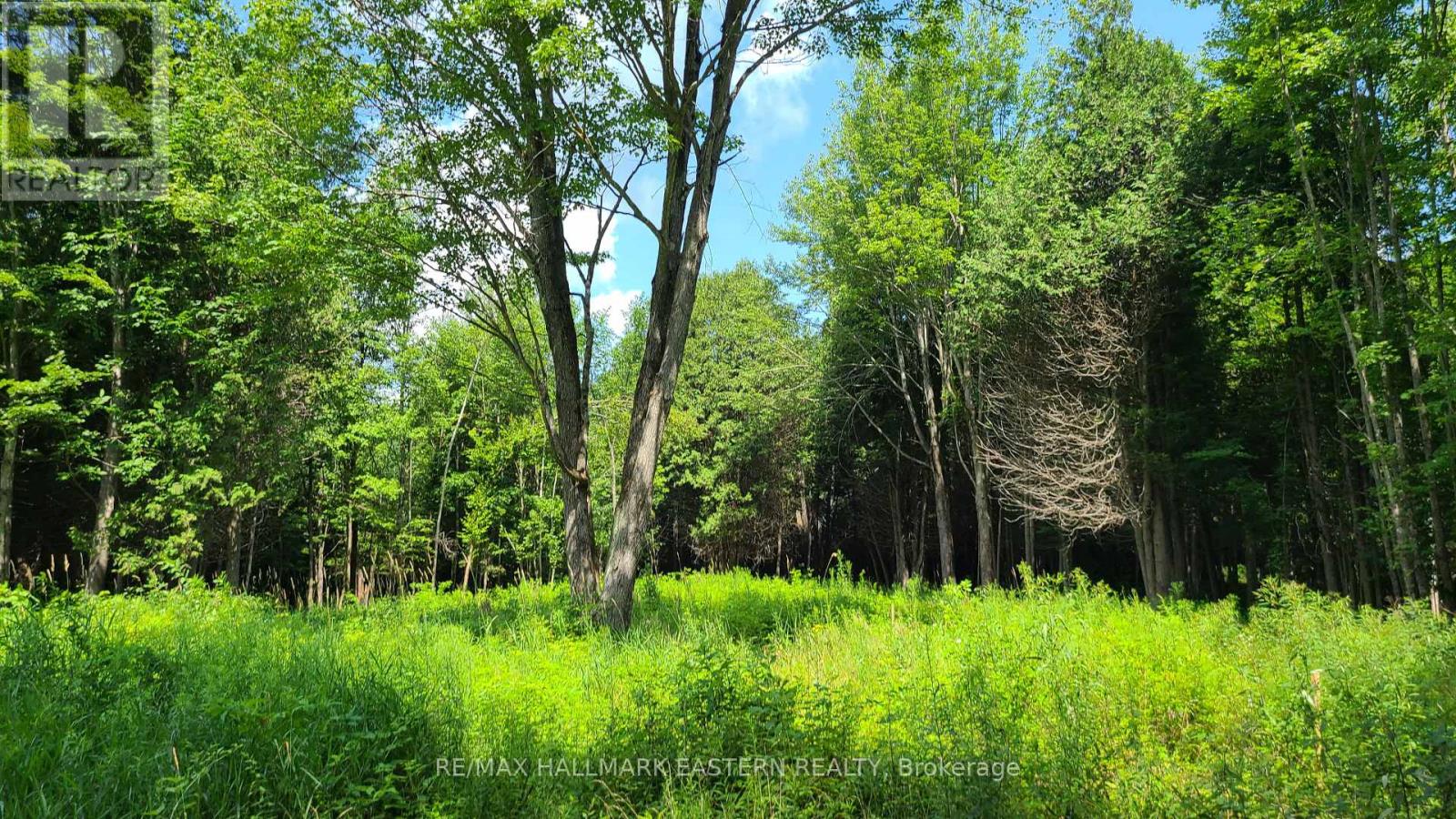 N/a Keating Road N, Havelock-Belmont-Methuen (Belmont-Methuen), Ontario  K0L 1Z0 - Photo 8 - X12750004