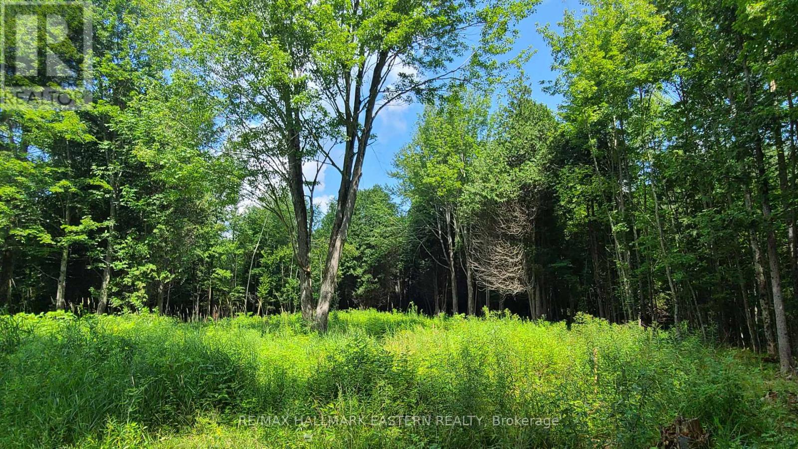 N/a Keating Road N, Havelock-Belmont-Methuen (Belmont-Methuen), Ontario  K0L 1Z0 - Photo 9 - X12750004