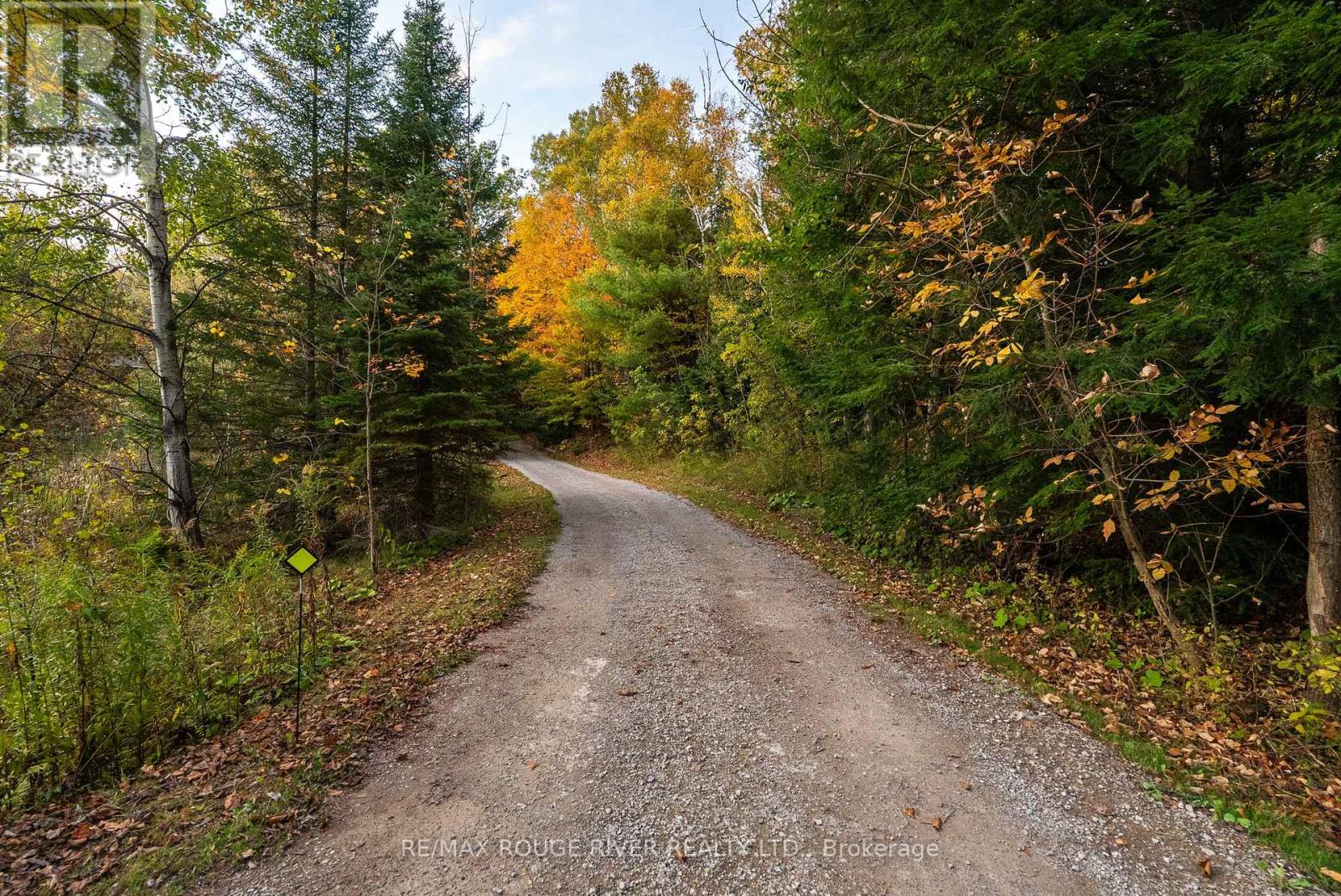 4754 Ganaraska Road, Clarington, Ontario  L0A 1J0 - Photo 50 - E12750616