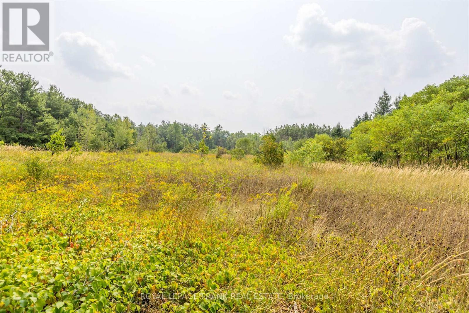 419 South Beach Road, Douro-Dummer, Ontario  K0L 2H0 - Photo 44 - X12757096