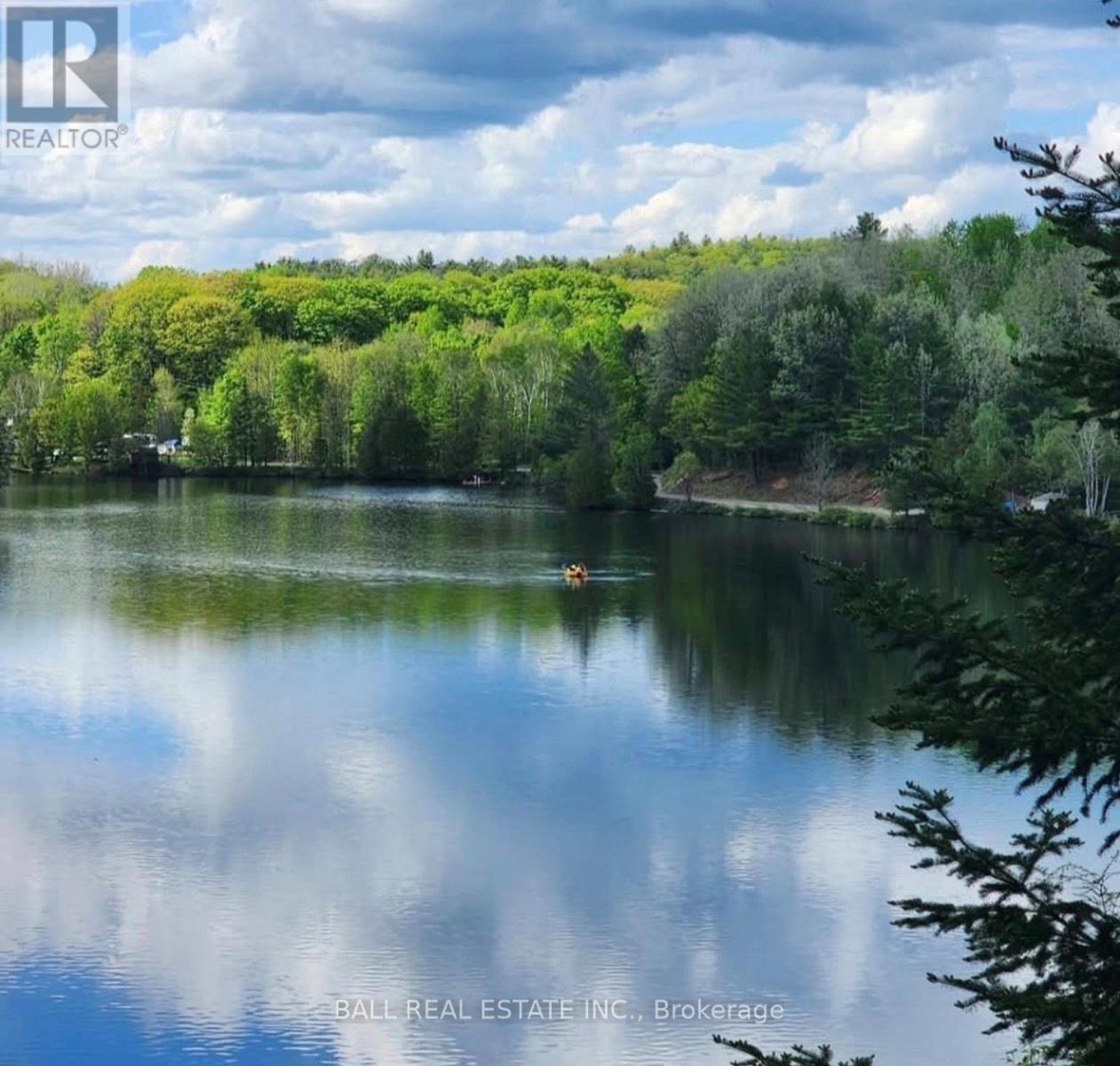 468 Monck Road, Faraday, Ontario  K0L 1C0 - Photo 43 - X12762580