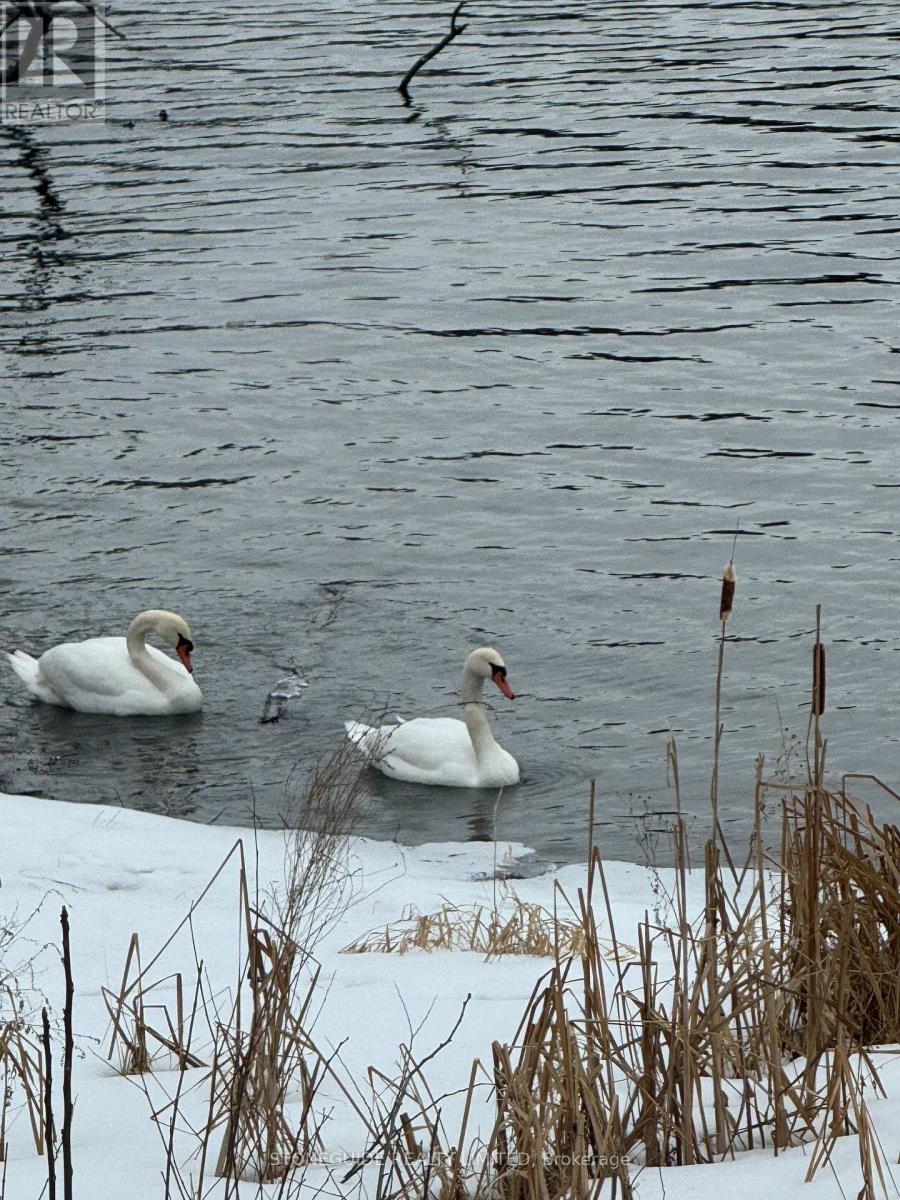 122 Fradette Avenue, Peterborough (Otonabee Ward 1), Ontario  K9J 1T5 - Photo 42 - X12764870