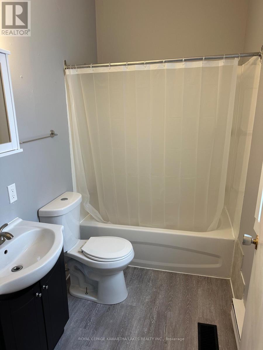 189 Park Street N, Peterborough (Town Ward 3), Ontario  K9J 3P5 - Photo 18 - X12767138