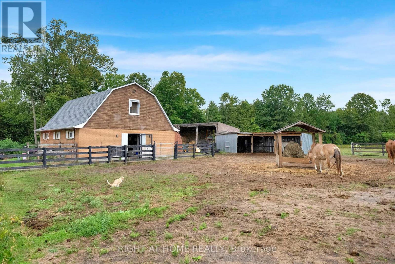 6265 Regional Road 18 Road, Clarington, Ontario  L0A 1J0 - Photo 36 - E12769756
