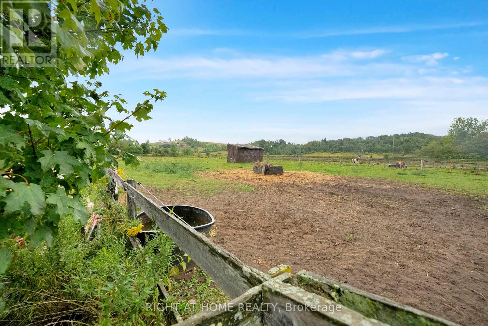 6265 Regional Road 18 Road, Clarington, Ontario  L0A 1J0 - Photo 44 - E12769756