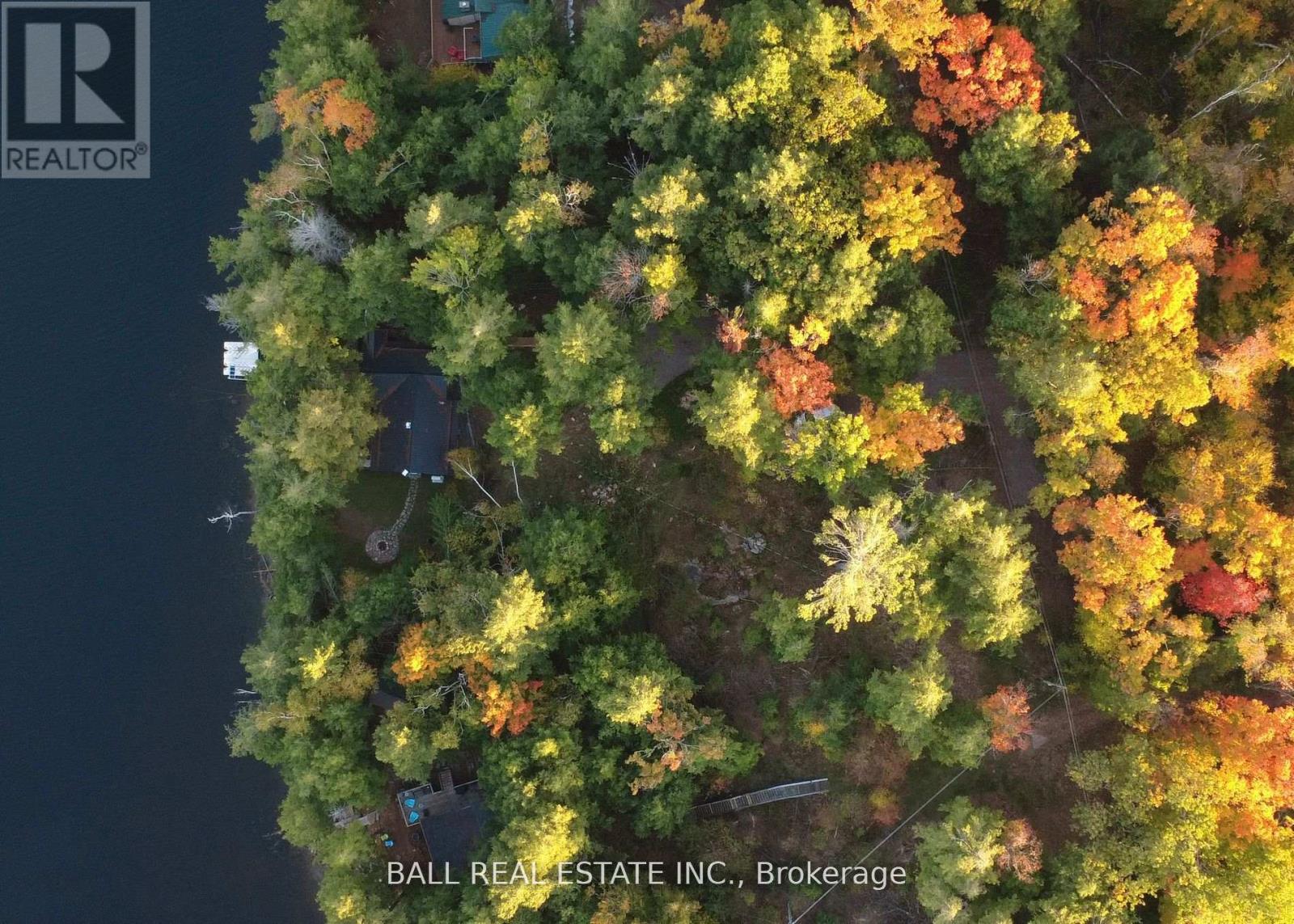 133 Fire Route 214, Trent Lakes, Ontario  K0L 1J0 - Photo 37 - X12771120