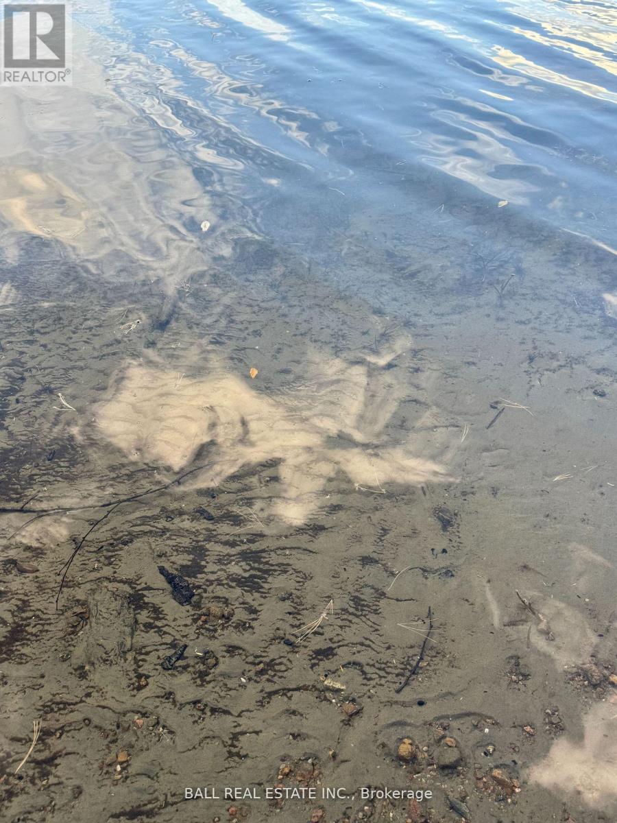 133 Fire Route 214, Trent Lakes, Ontario  K0L 1J0 - Photo 41 - X12771120