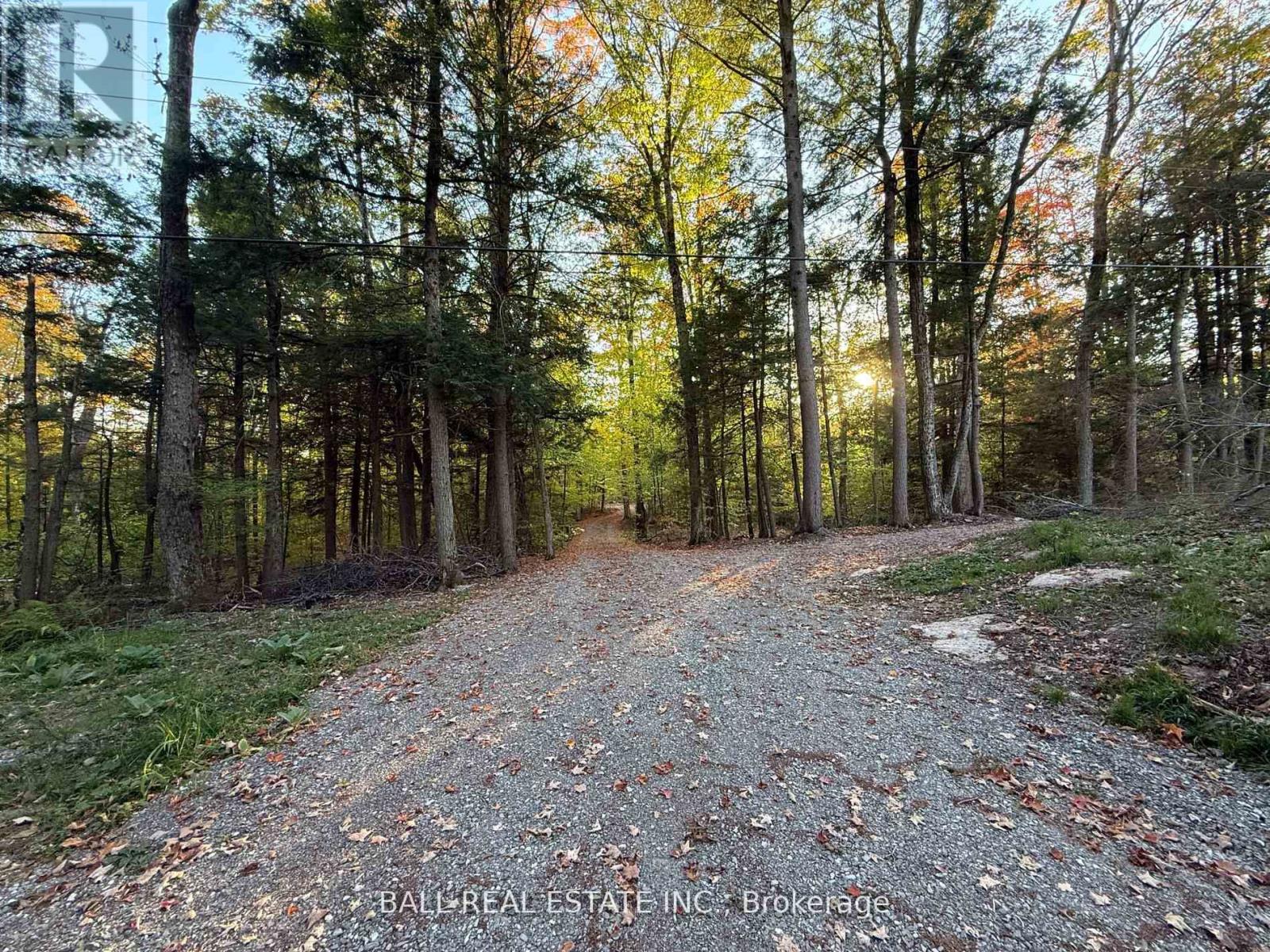 133 Fire Route 214, Trent Lakes, Ontario  K0L 1J0 - Photo 48 - X12771120