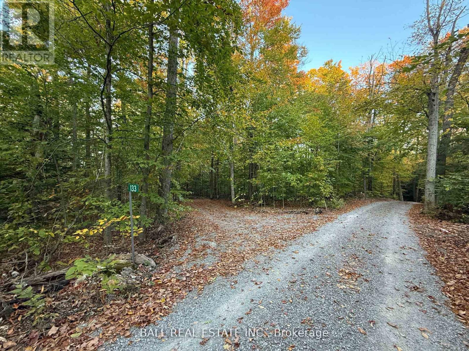 133 Fire Route 214, Trent Lakes, Ontario  K0L 1J0 - Photo 49 - X12771120