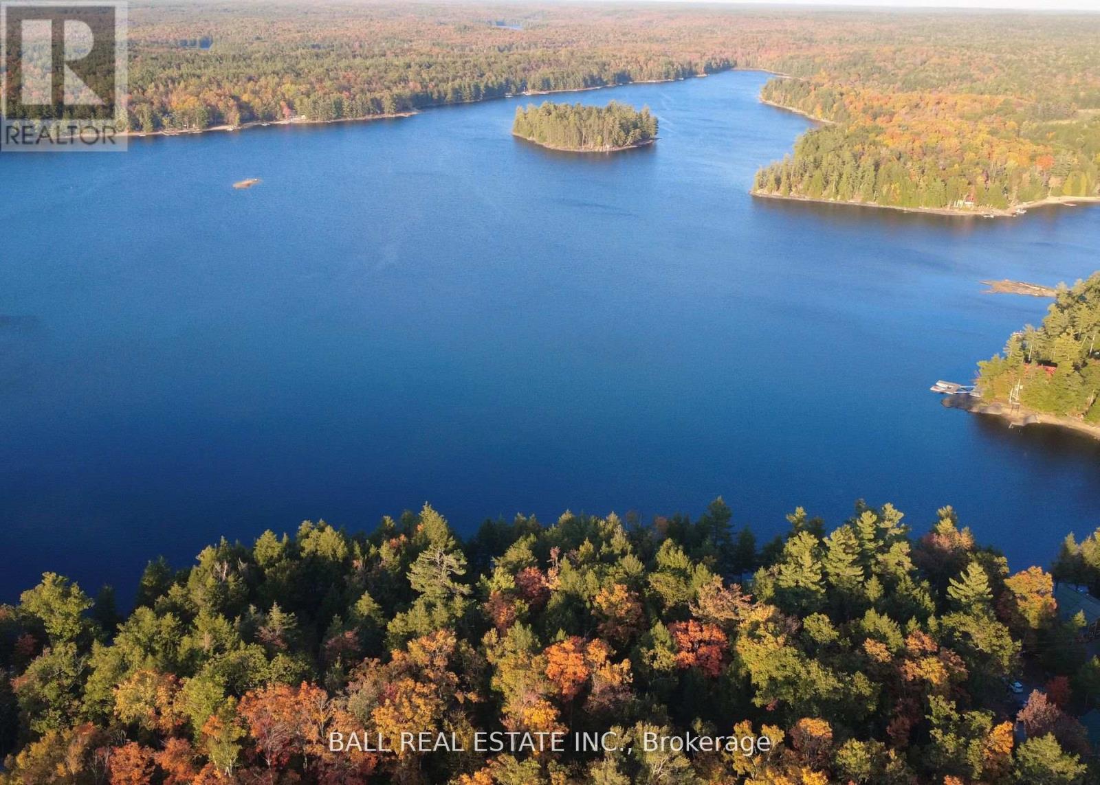 133 Fire Route 214, Trent Lakes, Ontario  K0L 1J0 - Photo 6 - X12771120