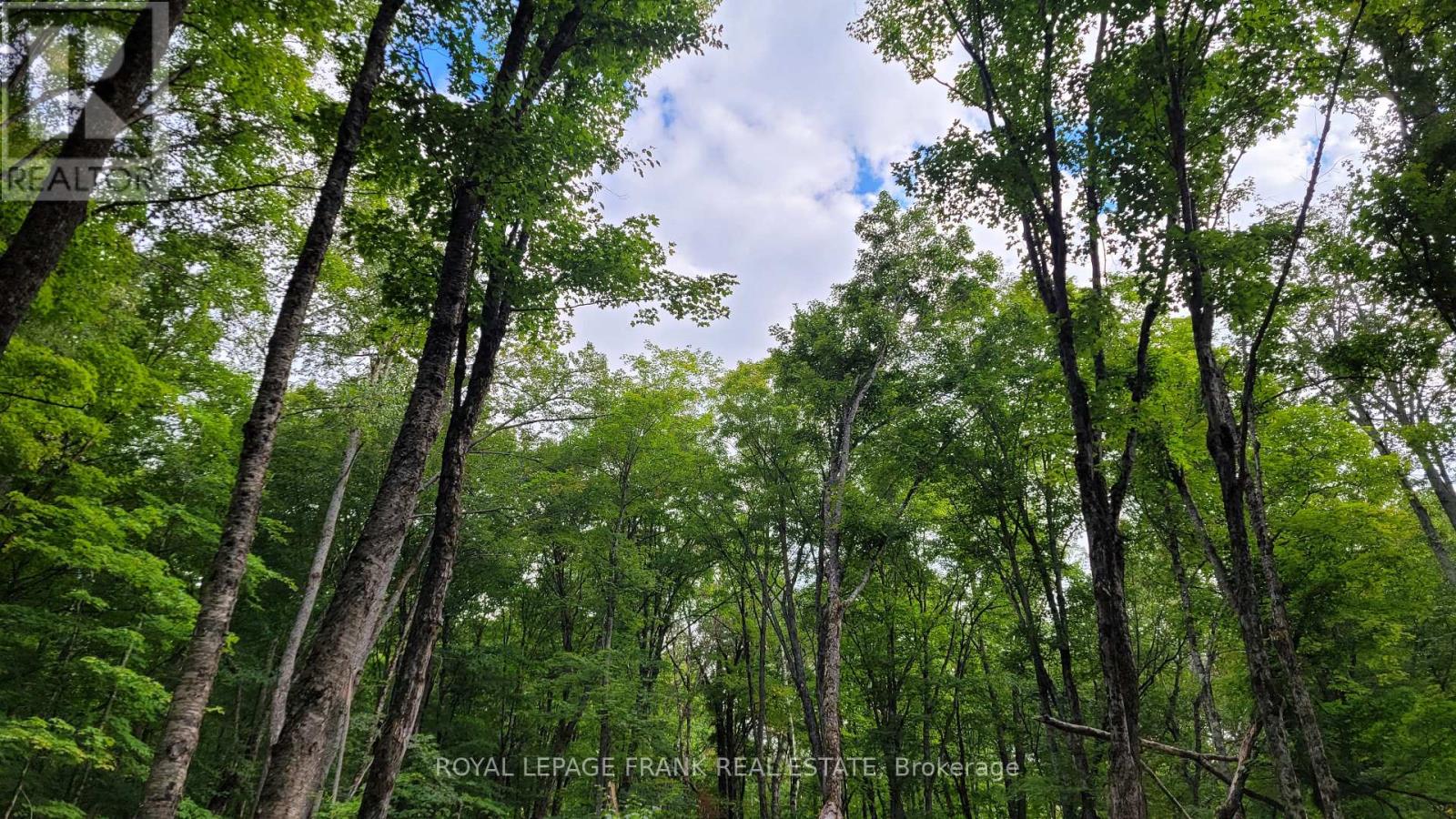 0 Lot 2 Elephant Lake Wao, Dysart Et Al (Harcourt), Ontario  K0L 1M0 - Photo 2 - X12774750