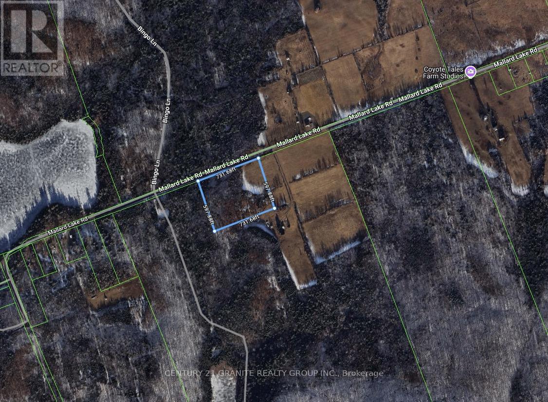 000 Mallard Lake Road, Carlow/mayo (Mayo Ward), Ontario  K0L 1G0 - Photo 8 - X12774788