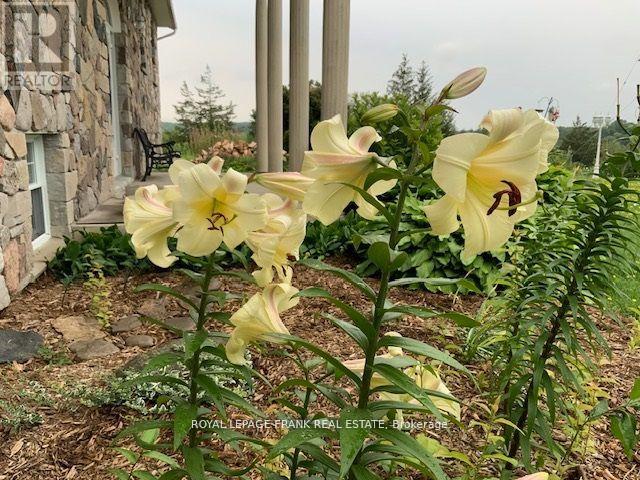 3071 5th Line E, Trent Hills (Campbellford), Ontario  K0L 1L0 - Photo 41 - X12774886