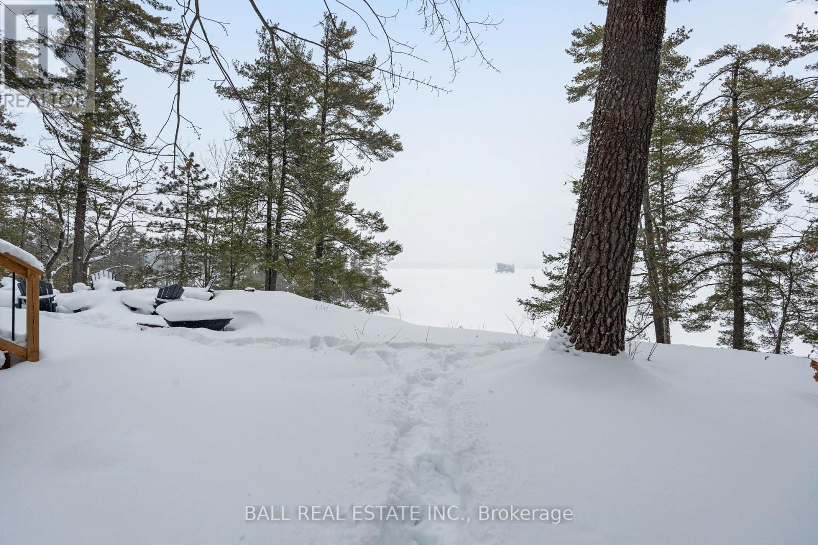 64 Fire Route 165, Trent Lakes, Ontario  K0L 1J0 - Photo 46 - X12782558