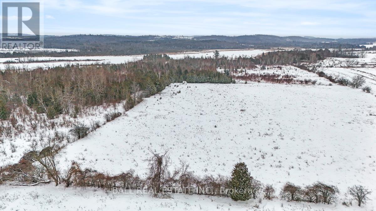 1476 Mount Horeb Road, Kawartha Lakes (Emily), Ontario  K0L 2W0 - Photo 11 - X12783500