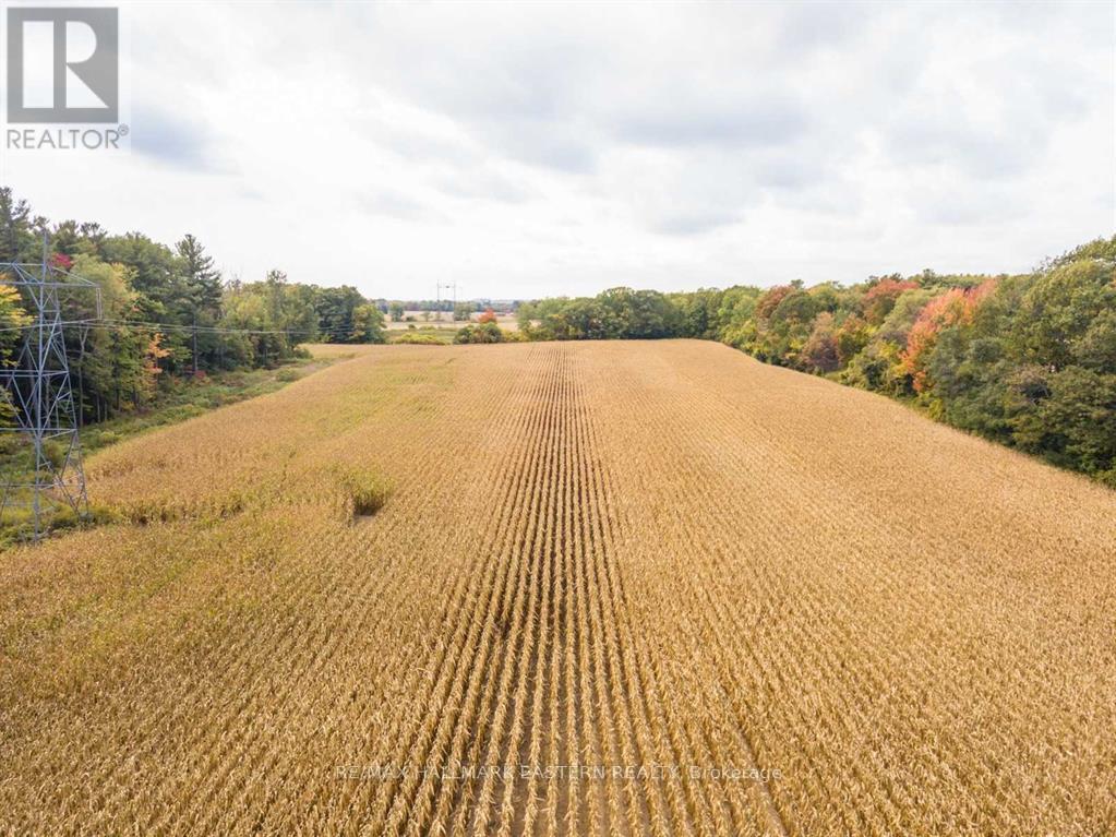 00 Oak Ridges Drive, Hamilton Township (Bewdley), Ontario  K0L 1E0 - Photo 10 - X12783862