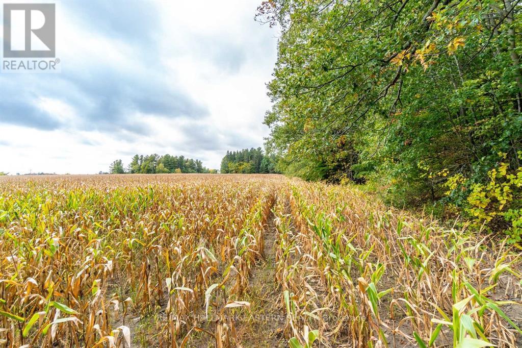 00 Oak Ridges Drive, Hamilton Township (Bewdley), Ontario  K0L 1E0 - Photo 11 - X12783862
