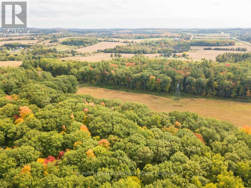 00 Oak Ridges Drive, Hamilton Township (Bewdley), Ontario  K0L 1E0 - Photo 3 - X12783862