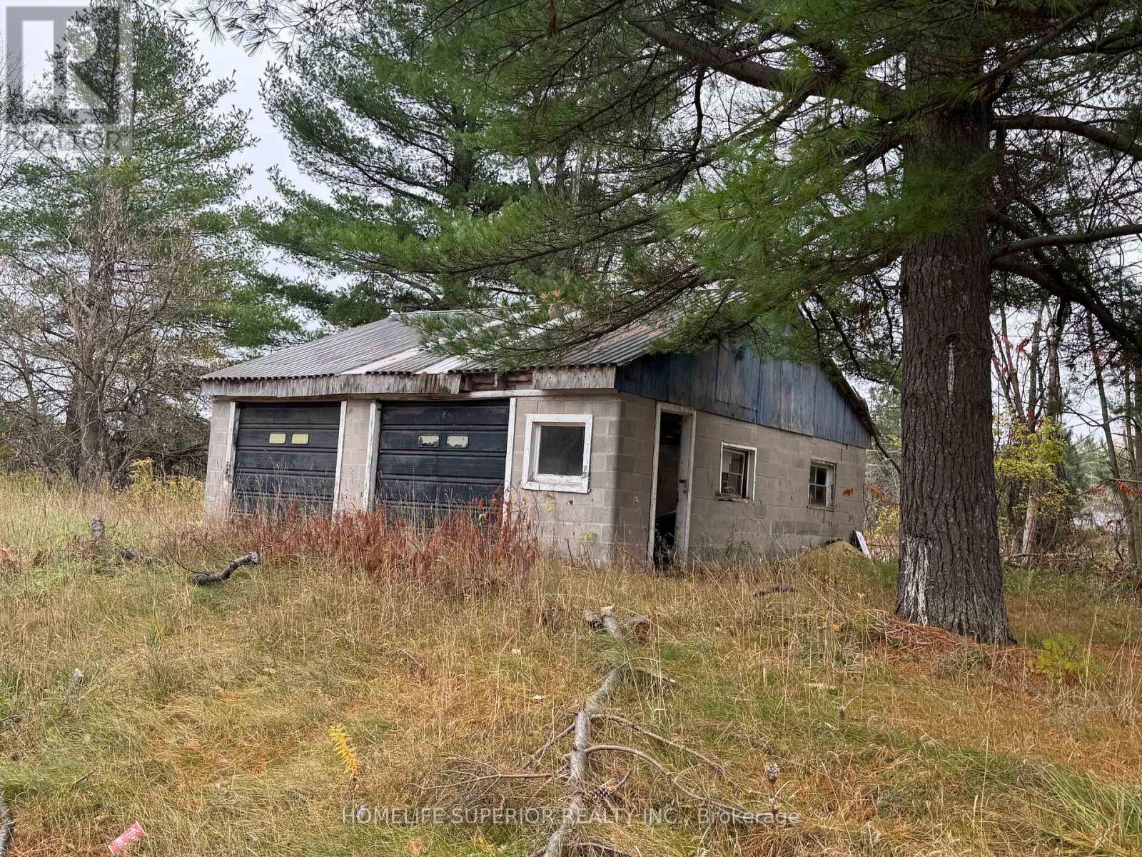 7963 Hwy 7, Havelock-Belmont-Methuen (Havelock), Ontario  K0L 1Z0 - Photo 7 - X12788158