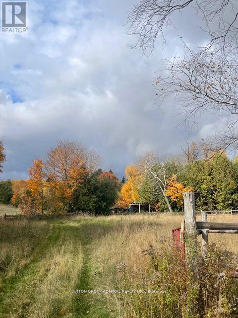 7574 White Road, Clarington, Ontario  L0A 1E0 - Photo 10 - E12791350