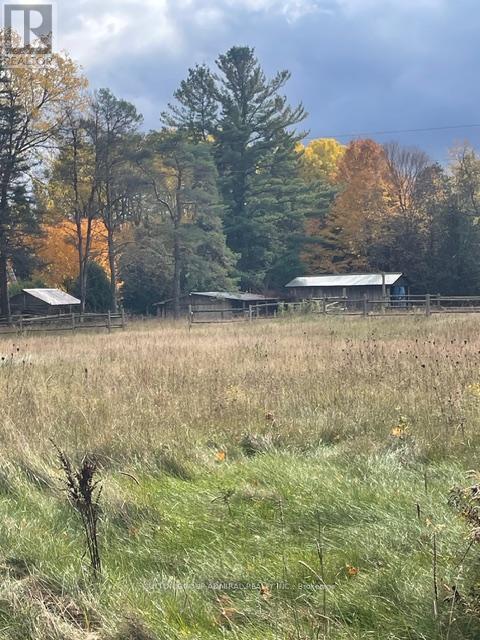 7574 White Road, Clarington, Ontario  L0A 1E0 - Photo 14 - E12791350