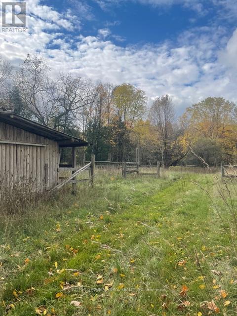 7574 White Road, Clarington, Ontario  L0A 1E0 - Photo 3 - E12791350