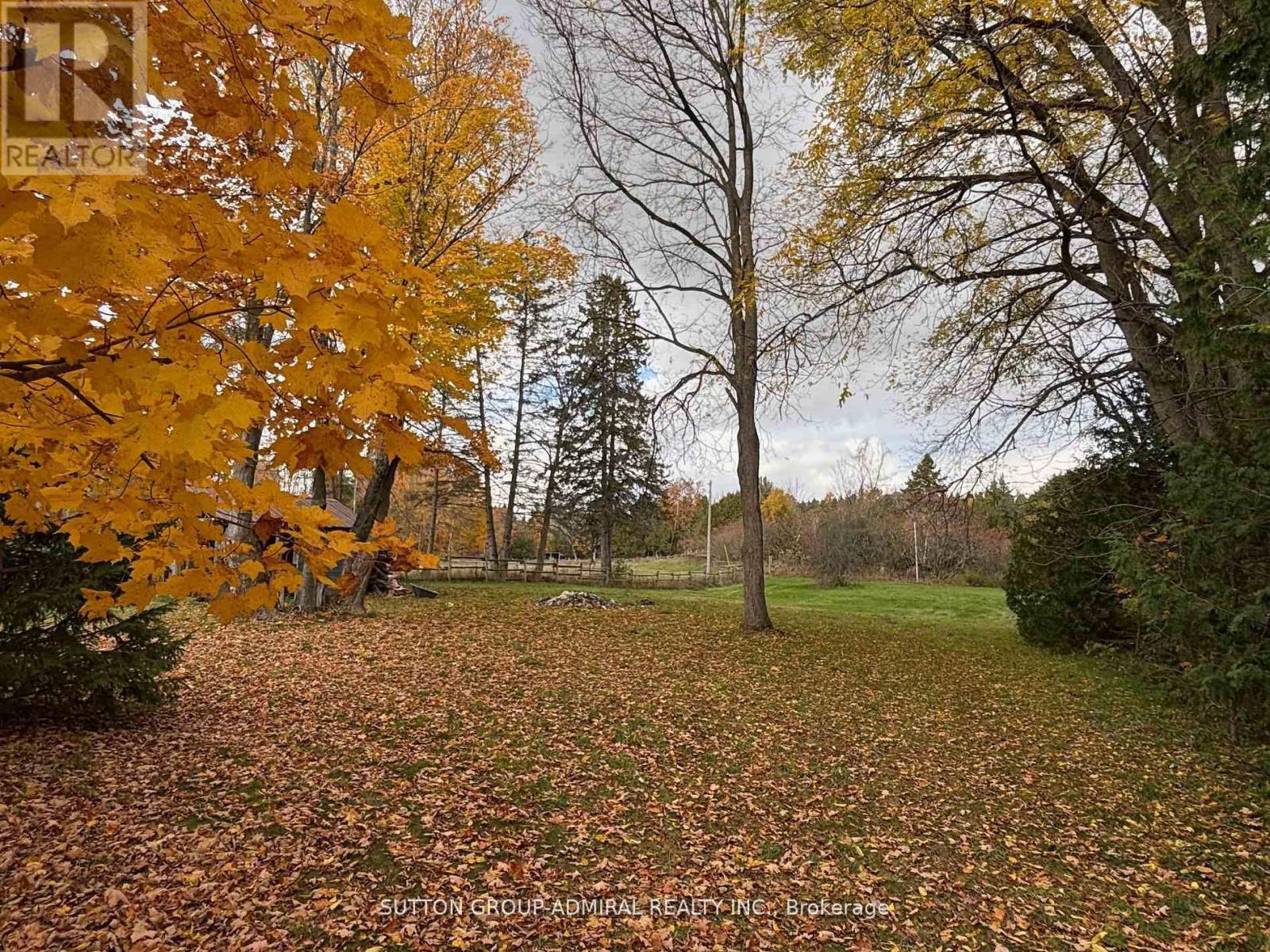 7574 White Road, Clarington, Ontario  L0A 1E0 - Photo 6 - E12791350