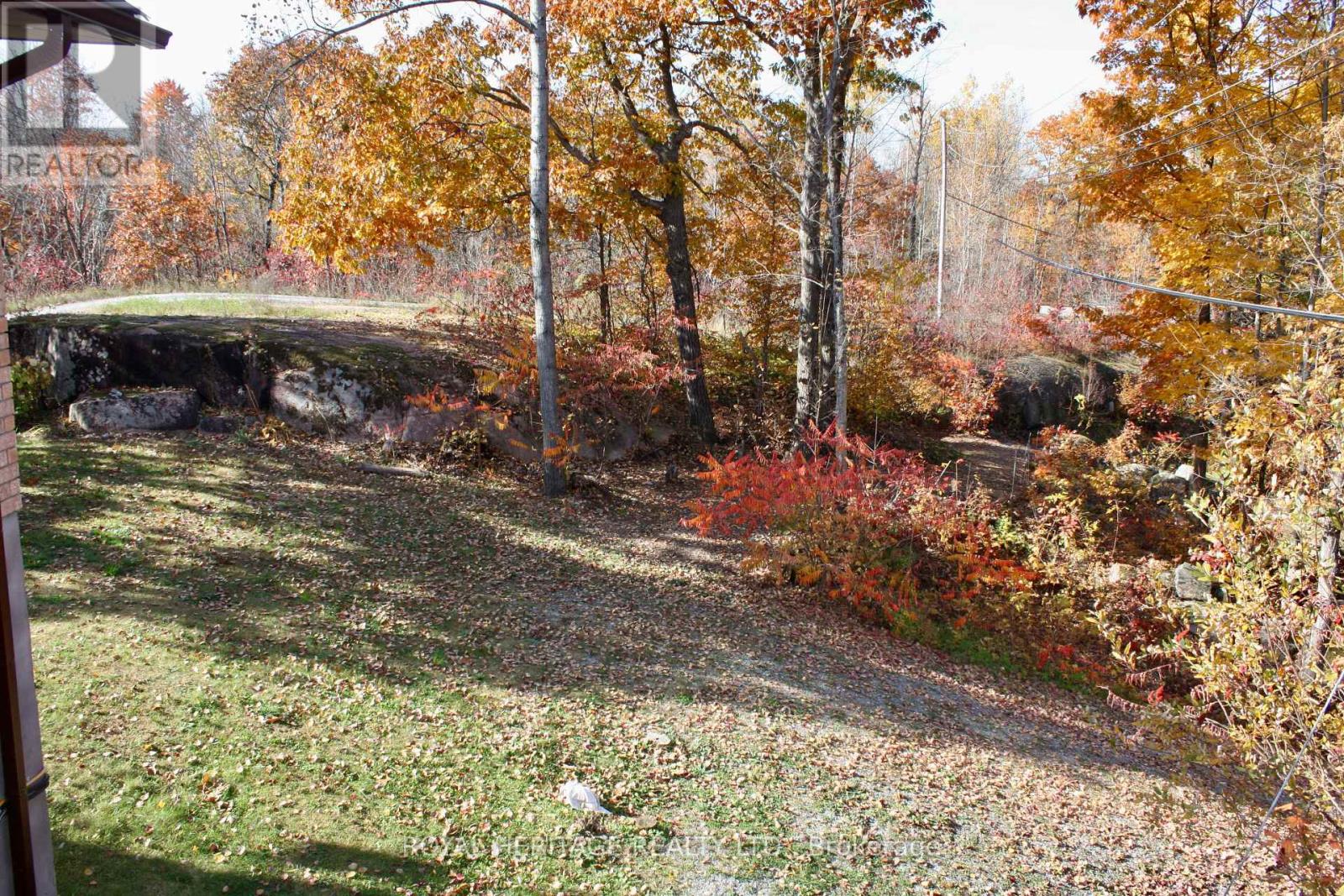 2331 Lakeside Road, Douro-Dummer, Ontario  K0L 2H0 - Photo 35 - X12791706