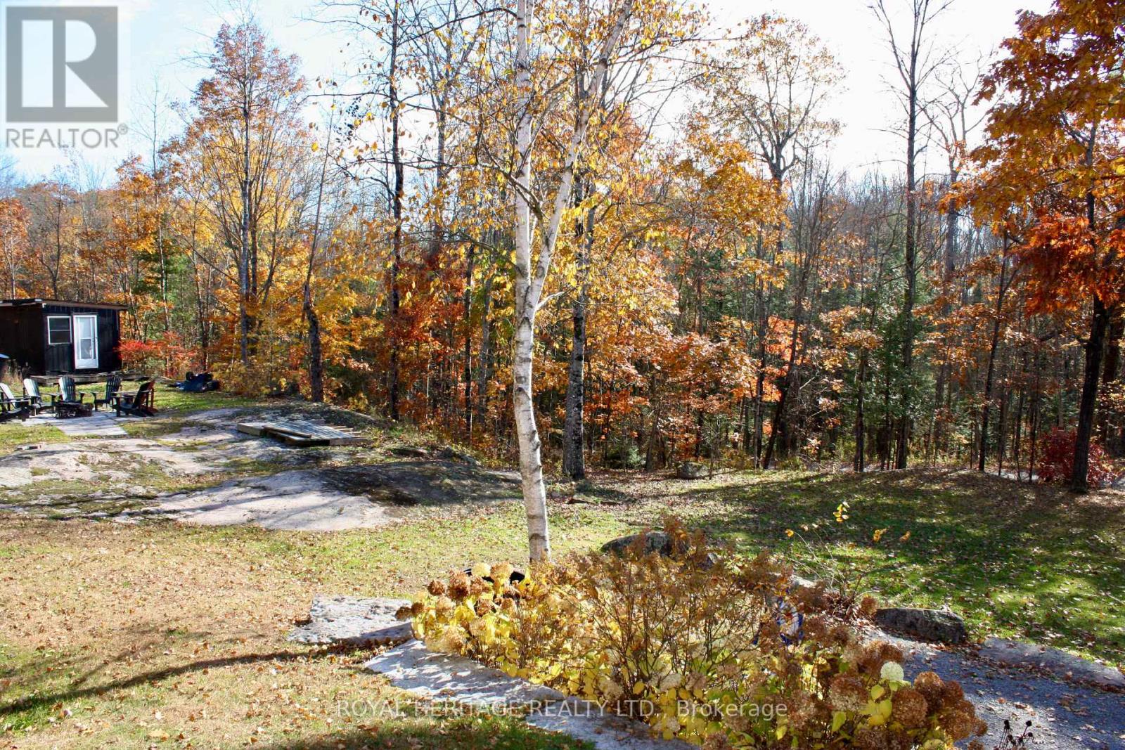 2331 Lakeside Road, Douro-Dummer, Ontario  K0L 2H0 - Photo 38 - X12791706