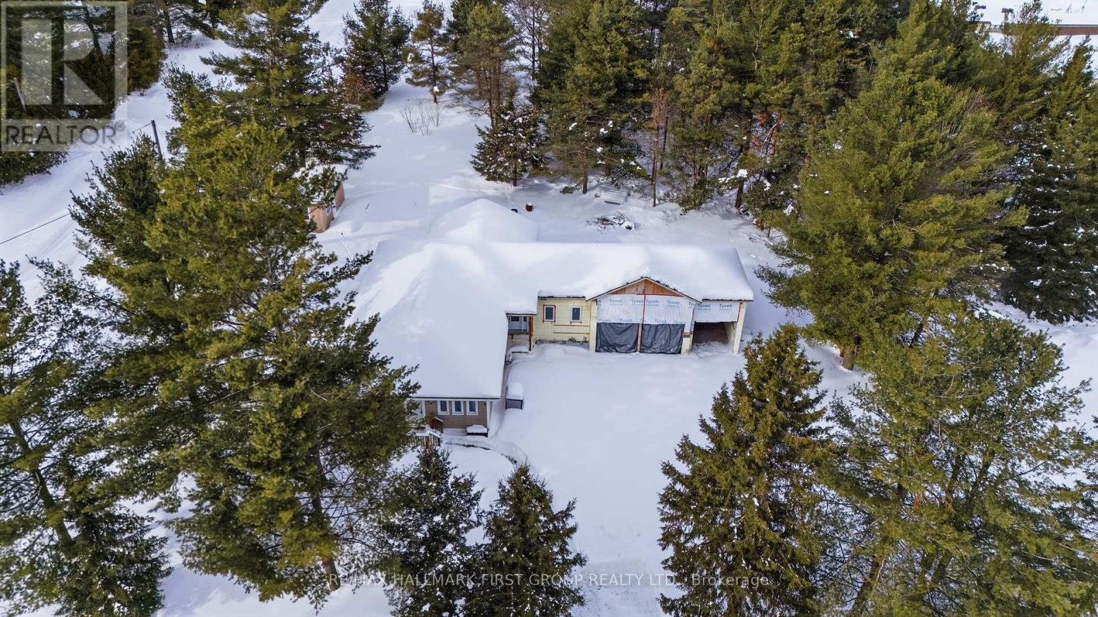 7038 Lake Street, Hamilton Township (Bewdley), Ontario  K0L 1E0 - Photo 4 - X12796824