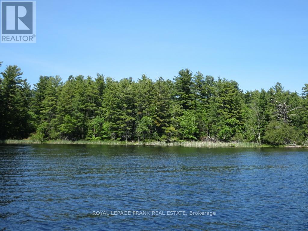 0 Horseshoe Island, North Kawartha, Ontario  K0L 2H0 - Photo 16 - X12797978