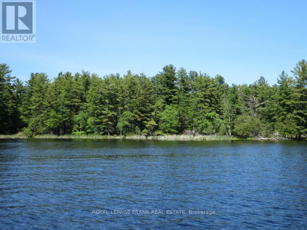 0 Horseshoe Island, North Kawartha, Ontario  K0L 2H0 - Photo 18 - X12797978