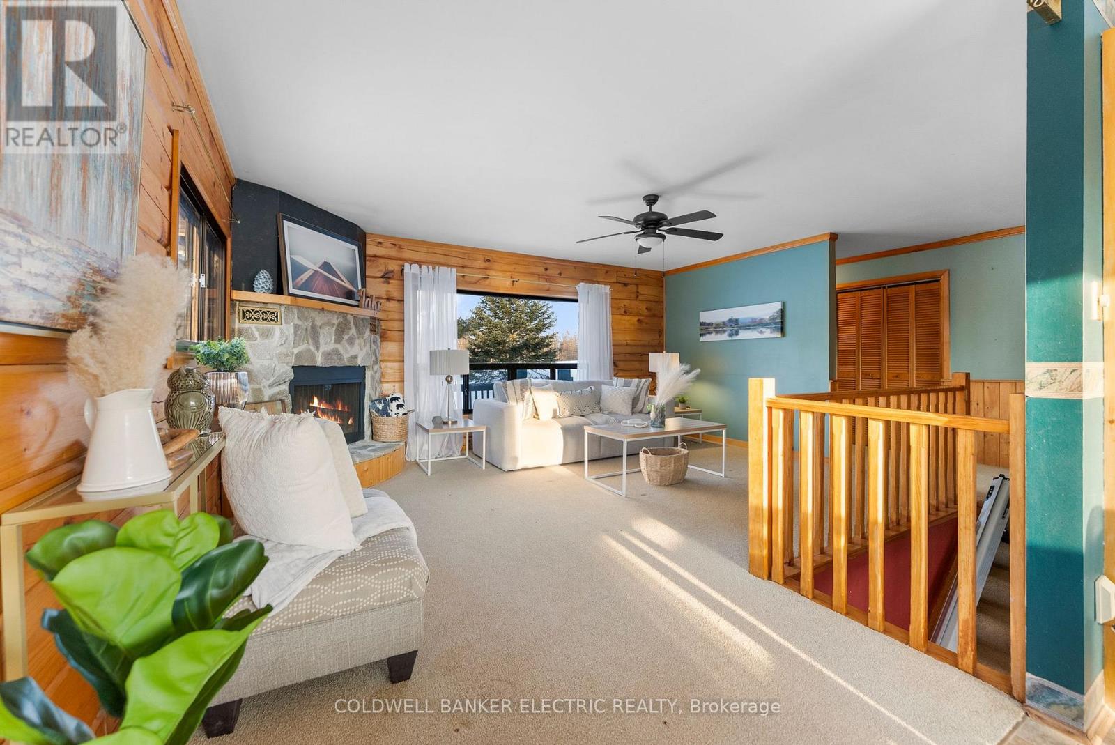 459 Jack Lake Road, North Kawartha, Ontario  K0L 1A0 - Photo 6 - X12803740